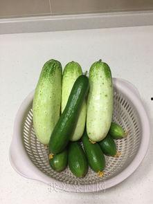 黑料吃瓜网apk普通安装 
