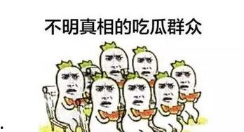 黑料吃瓜网apk普通安装 