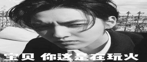 对人类过敏的猫 