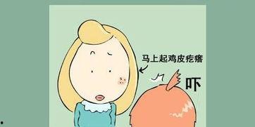 对人类过敏的猫 