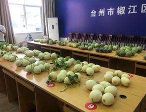 黑料吃瓜网apk普通安装 
