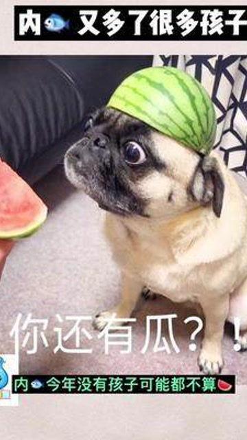 黑料吃瓜网apk普通安装 